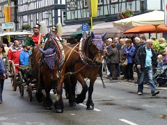 2012-07 Landestreffen Bütgerwehren (75)
